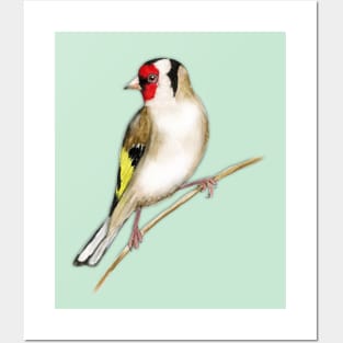 Goldfinch watercolor Posters and Art